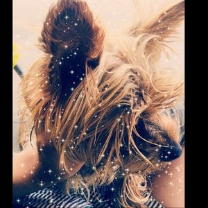 Meet your Posher, Mandy